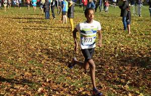 Salle, Cross et Marathon. Bon début de saison pour l'Entente