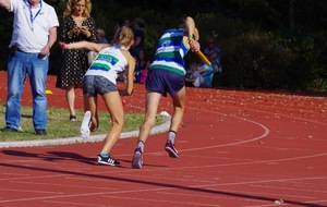 Meeting de Gravelines :  des records, des qualif' et du soleil