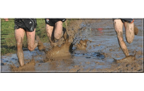 Championnats du Nord de Cross et Journées en Salle