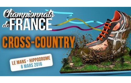 France de Cross : direction Le Mans